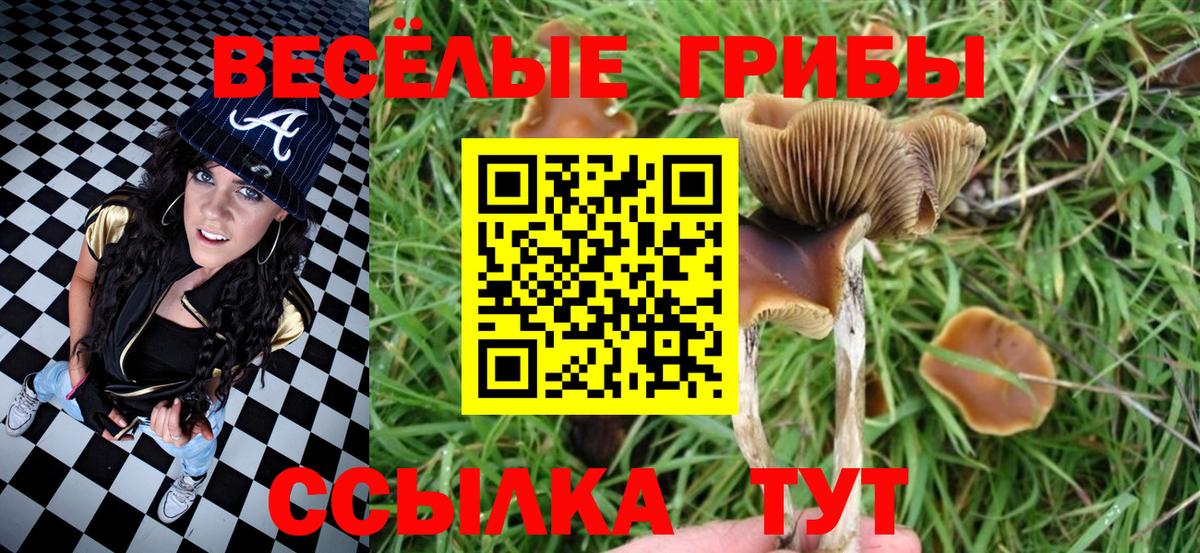  КОКАИН Киров