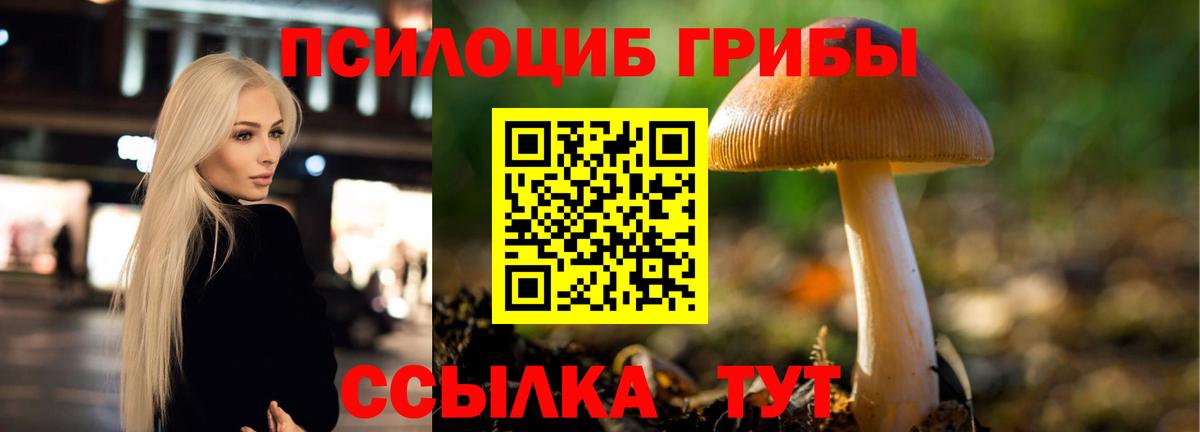 Киров  цена   Вход с VPN  Галлюциногенные грибы мицелий 